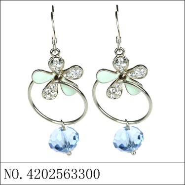 Earrings Blue