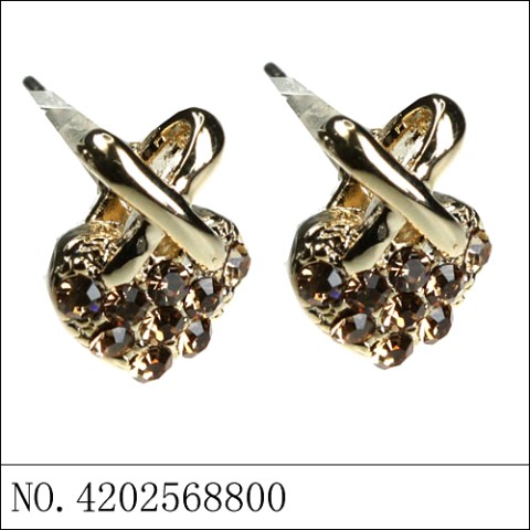 Earrings Brown