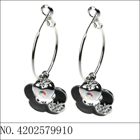 Earrings Black