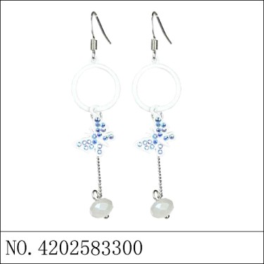 Earrings Blue