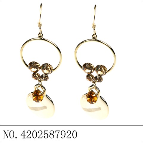 Earrings Gold