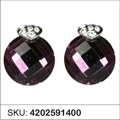 Earrings Purple