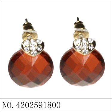 Earrings Brown