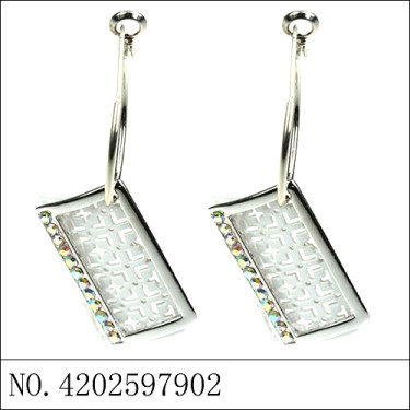 Earrings White