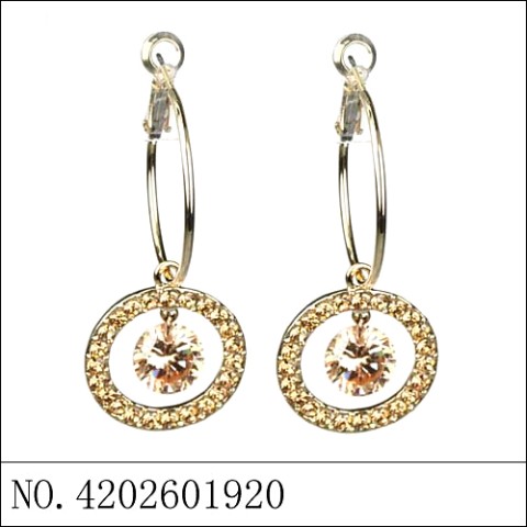 Earrings Gold