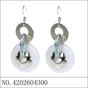 Earrings Blue