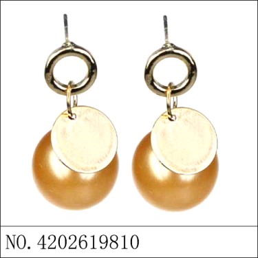 Earrings Brown