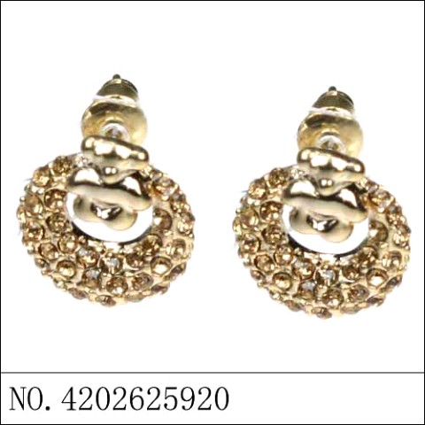 Earrings Gold