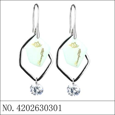 Earrings Blue