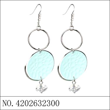 Earrings Blue