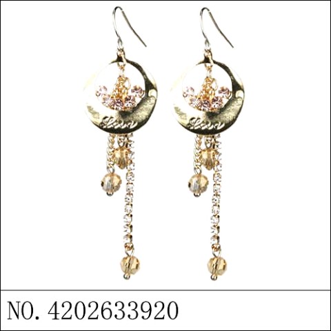 Earrings Gold