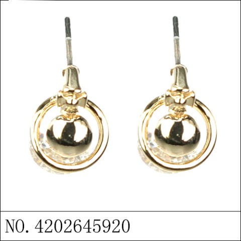 Earrings Gold