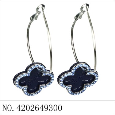 Earrings Blue