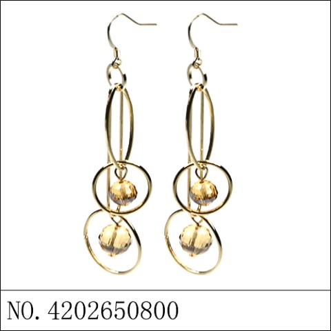 Earrings Brown