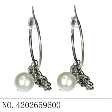 Earrings Gray