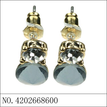 Earrings Gray