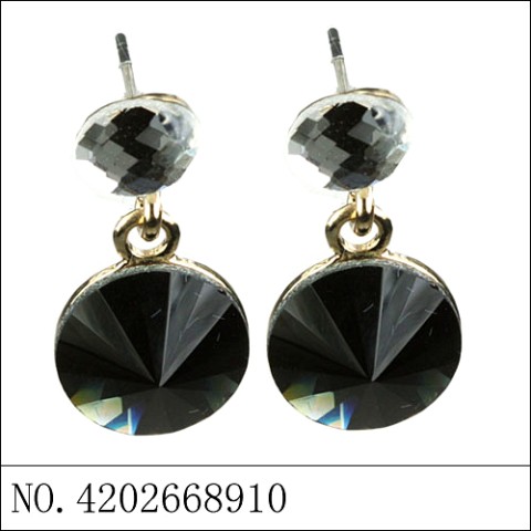 Earrings Black