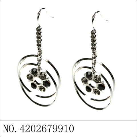 Earrings Black