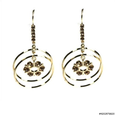 Earrings Gold