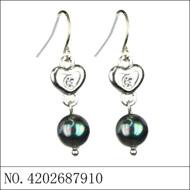 Earrings Black