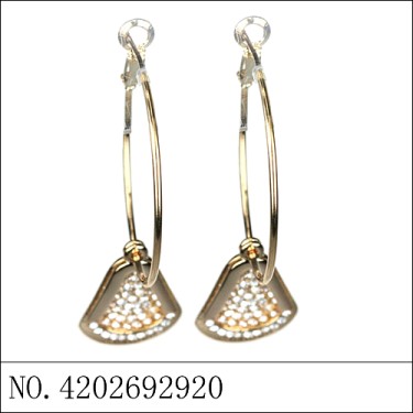 Earrings Gold