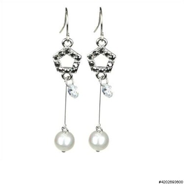 Earrings Gray