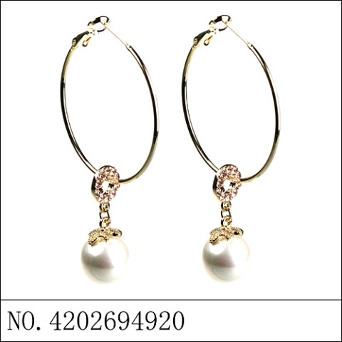 Earrings Gold