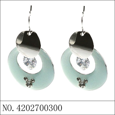 Earrings Blue