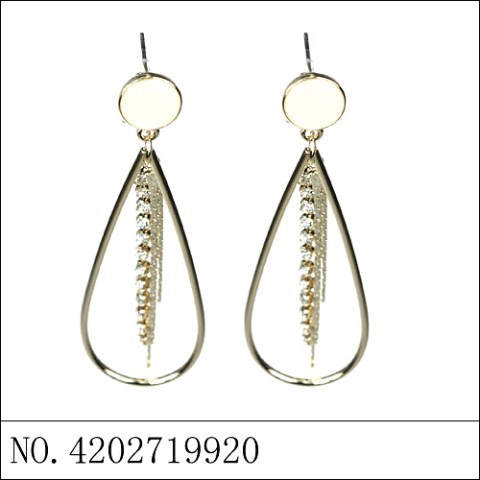 Earrings Gold