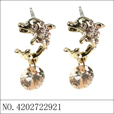 Earrings Gold