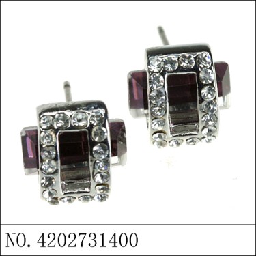 Earrings Purple