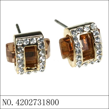 Earrings Brown