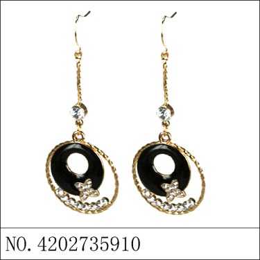 Earrings Black