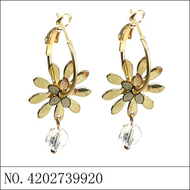 Earrings Gold