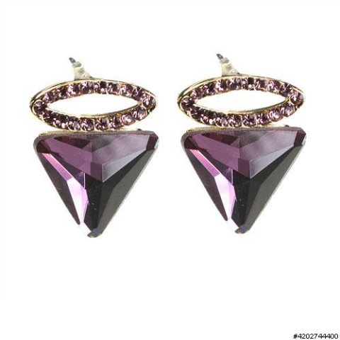 Earrings Purple