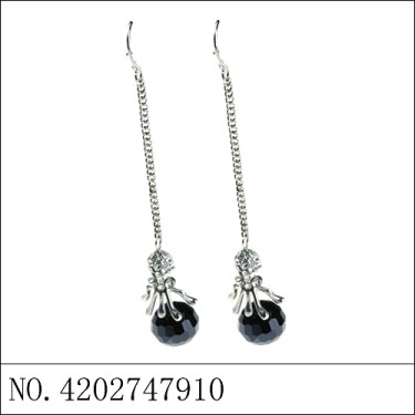 Earrings Black