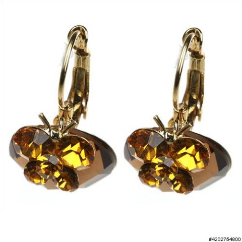 Earrings Brown