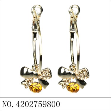 Earrings Brown