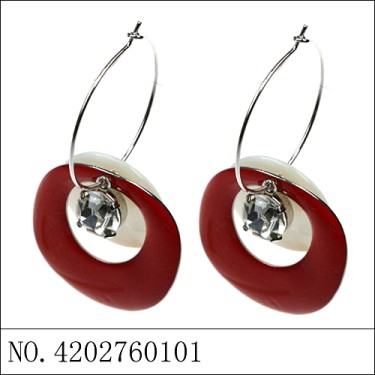 Earrings Red