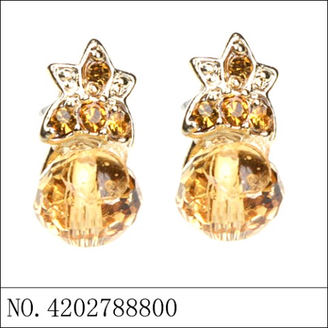 Earrings Brown