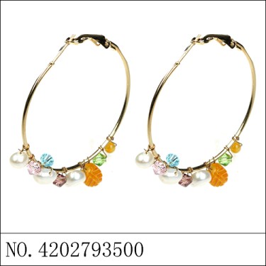 Earrings Orange