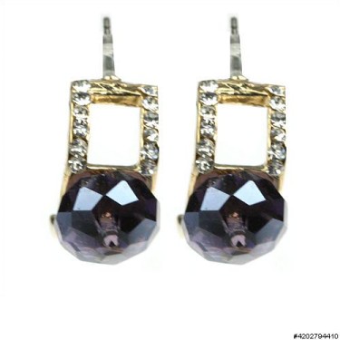 Earrings Purple