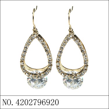 Earrings Gold