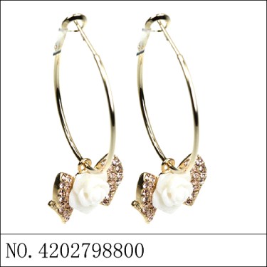 Earrings Brown