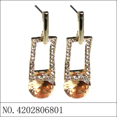 Earrings Brown