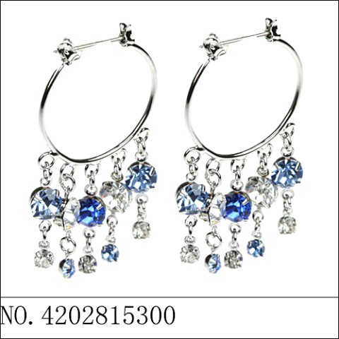 Earrings Blue