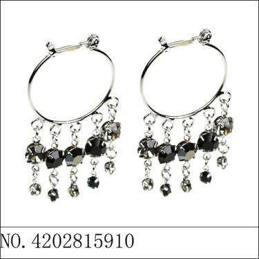 Earrings Black