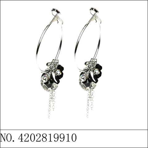 Earrings Black