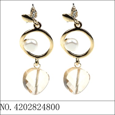 Earrings Brown