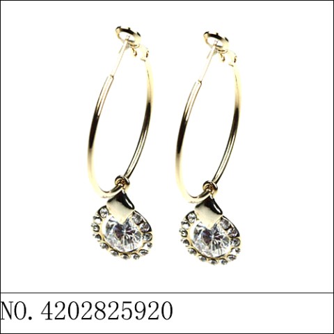 Earrings Gold